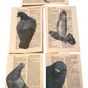 Pigeon themed dictionary prints