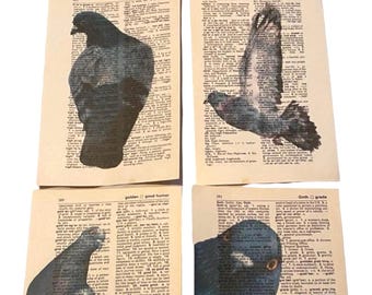 Impressions de dictionnaires sur le thème des pigeons