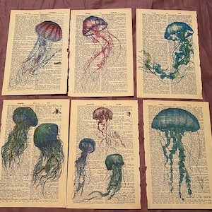 Jellyfish themed dictionary prints