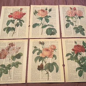 Floral (Rose) themed dictionary prints