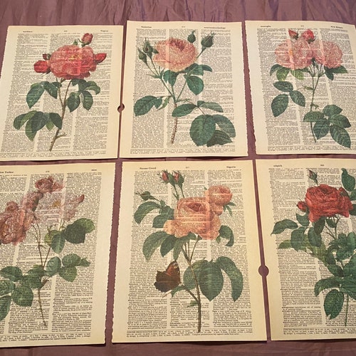 Woordenboekafdrukken met bloementhema (roos)