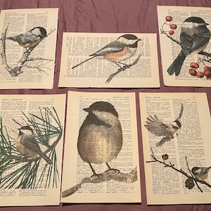 Bird (Chickadee) themed dictionary prints