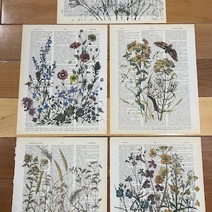 Wildflower themed dictionary prints