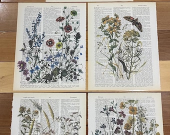 Wildflower themed dictionary prints
