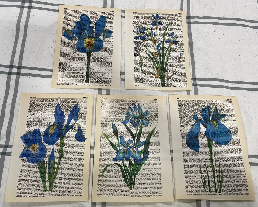 Iris Flower Themed Dictionary Prints Etsy