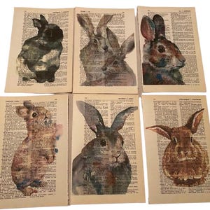 Rabbit themed dictionary prints