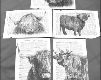 Highland Cow themed dictionary prints