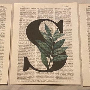 Estampas de dicionário com tema de letra “S” e planta