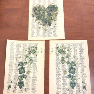 Puede incluir: Tres páginas de diccionario vintage con un diseño de enredadera de hiedra verde impreso en ellas. La página superior presenta una forma de corazón hecha de hojas de hiedra. Las dos páginas inferiores presentan una sola enredadera con hojas que crecen hacia arriba de la página.