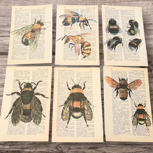 May include: Six vintage dictionary pages with illustrations of bees. The bees are depicted in various poses, including flying, landing, and perched on flowers. The pages are printed on aged paper with a yellowed hue.