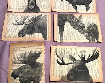 Moose themed dictionary prints