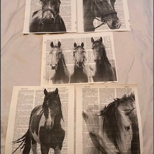 Horse themed dictionary prints