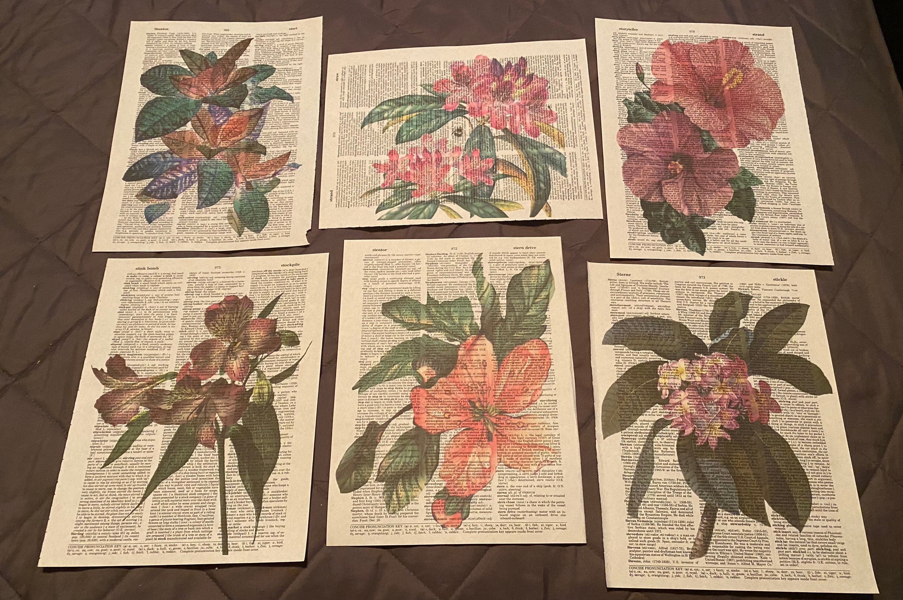 Floral Themed dictionary prints Etsy
