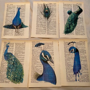 Peacock Themed dictionary prints