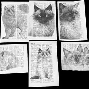 Ragdoll Cat themed dictionary prints