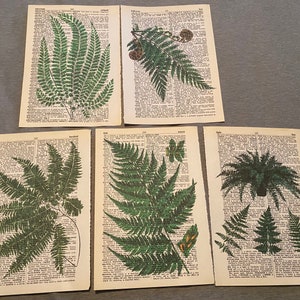 Fern Plant themed dictionary prints