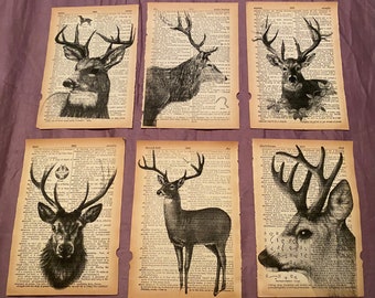 May include: Six black and white illustrations of deer heads on vintage book pages. The deer are drawn in a realistic style with intricate details. The book pages are aged and have a yellowed tint.