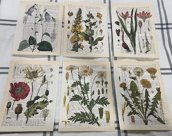 Botanical Floral themed dictionary prints