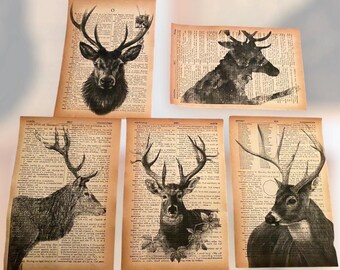 May include: Five vintage dictionary pages with black and white illustrations of deer. Each page features a different deer with intricate details and a vintage aesthetic.