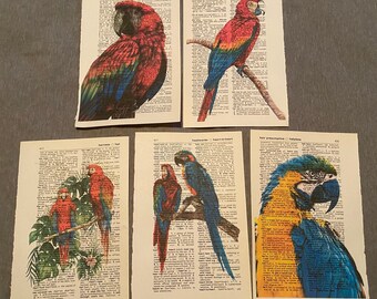 Tropical bird themed dictionary prints