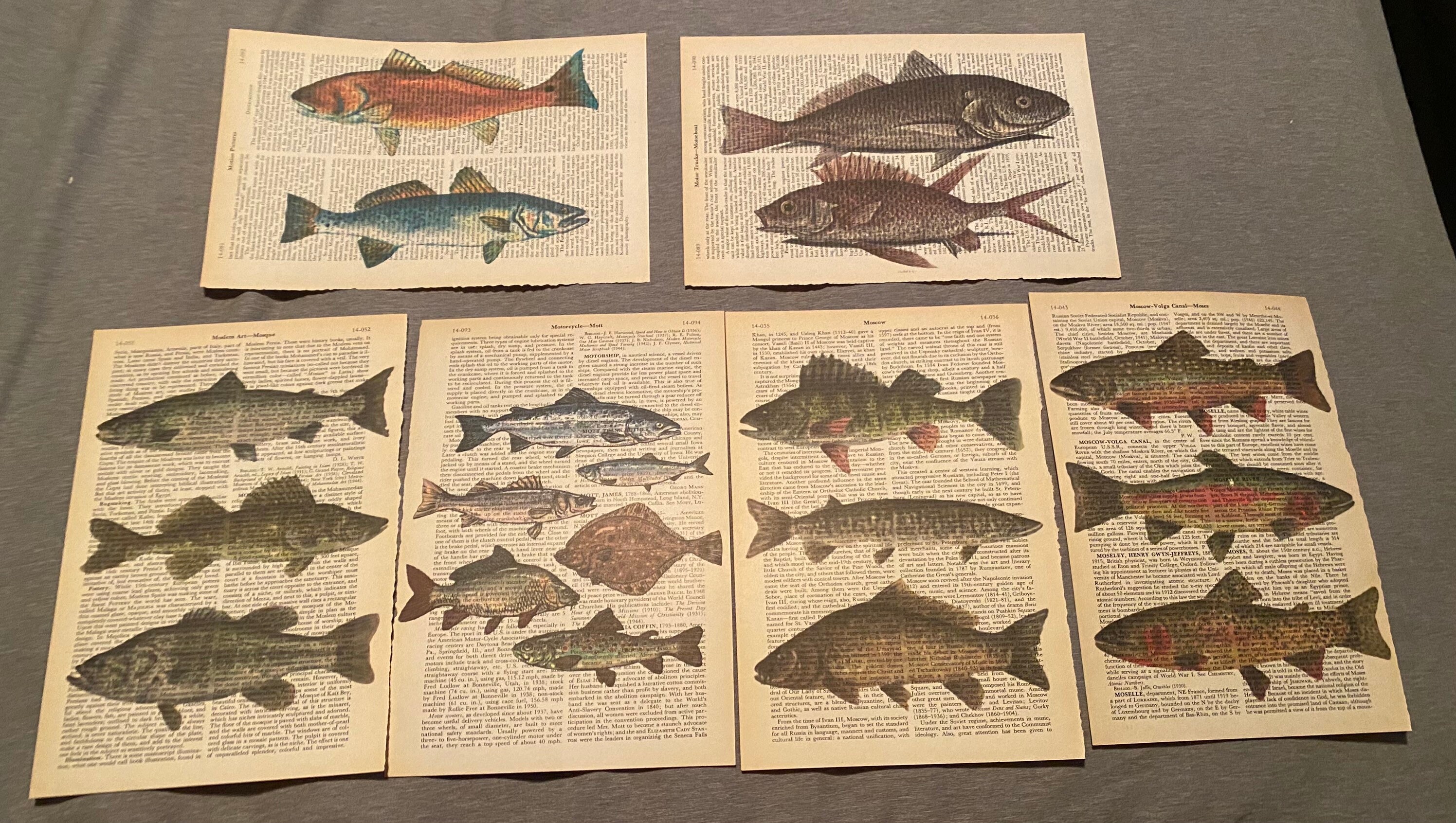 Freshwater Fish themed dictionary prints Etsy