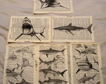 Shark themed dictionary prints