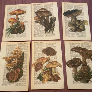 Mushroom Themed dictionary prints