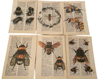 Set of 6 Bee themed dictionary prints