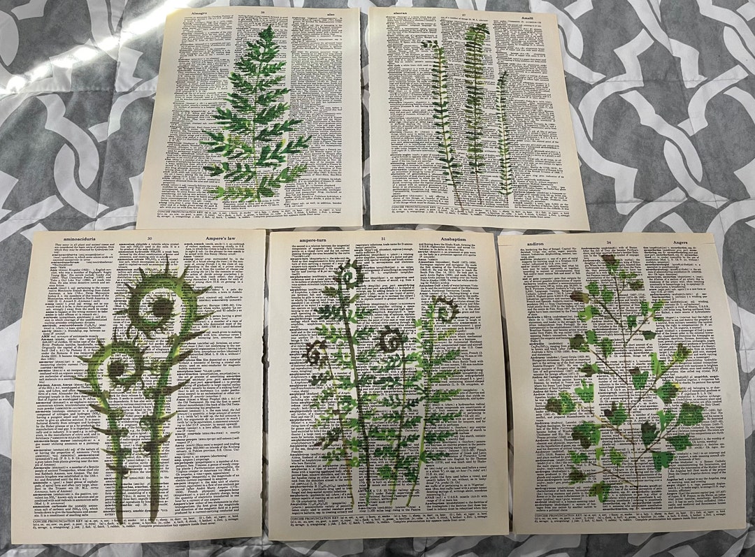 Fern Plant Themed Dictionary Prints Etsy