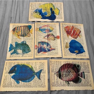 Tropical Fish themed dictionary prints