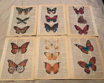 Butterfly themed dictionary prints