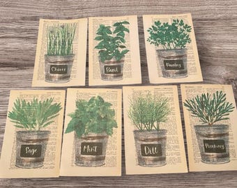 Cooking Herb themed dictionary prints