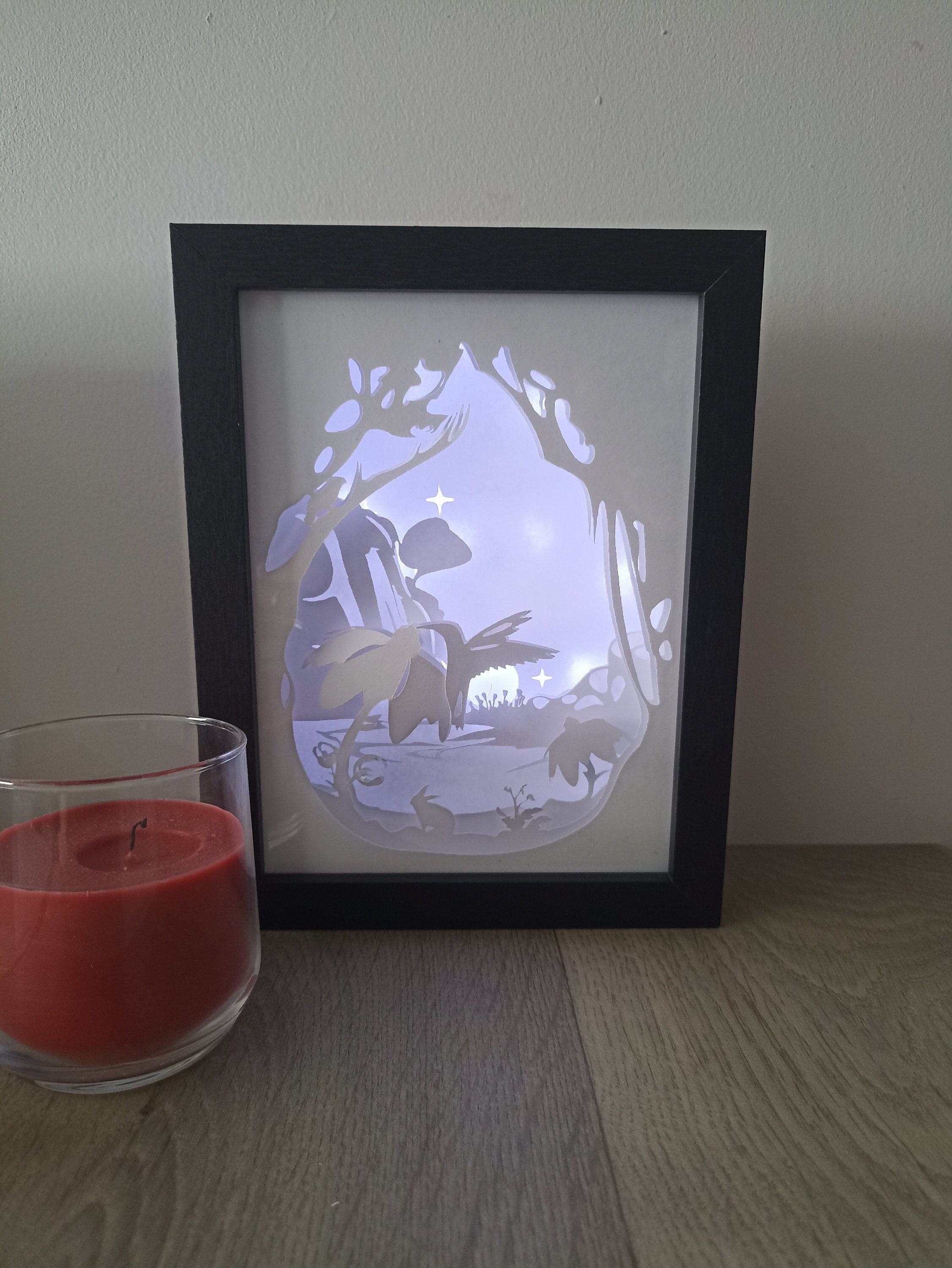 Cadre Lumineux Colibri