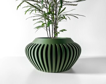 Caios Planter: Modern Indoor Planter, Designer Plant Pot