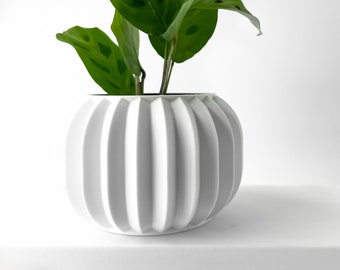 Olin Planter: Modern Indoor Planter, Designer Plant Pot