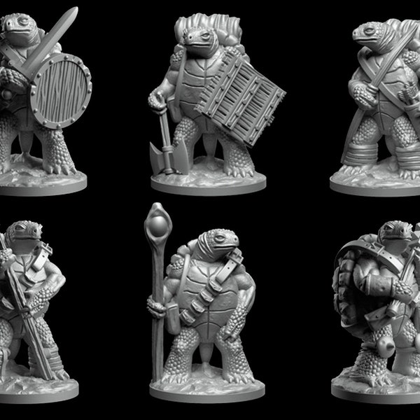 Turtle Adventurer en Fighter Resin Miniaturen. Perfect voor D&D Dungeons and Dragons • Tafelspel • Wargaming miniaturen