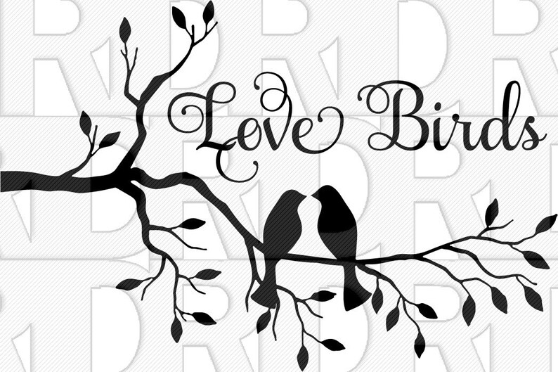 Love Birds SVG Birds Birds SVG SVG Files Svg Png Jpg Etsy