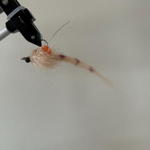 May include: A close-up of a fishing fly held in a vise. The fly has a tan body with brown stripes and an orange head. The hook is black, and the fly has a few thin, clear fibers extending from it.