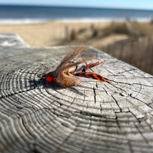 May include: A close-up of a fishing fly with a red eye, brown fur, and orange and black feather accents. The fly is resting on a weathered, gray wooden surface with a beach and ocean in the background.
