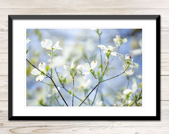 Dogwood Blossoms Photo Print, Enchanted Spring Wall Art (Digital Download)