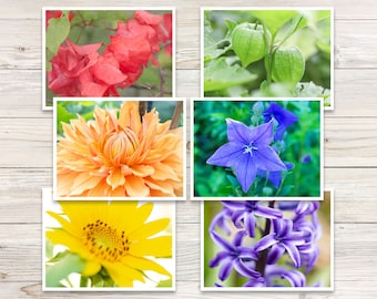 Flower Photo Note Cards (Set of 6), Floral Note Cards, Botanical Note Cards, Blank Note Cards with Envelopes, Greeting Cards