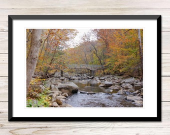 Autumn Landscape Photo Instant Download, Printable Photo Wall Art, Fall Photography, Digital Download Photography, Autumn Landscape