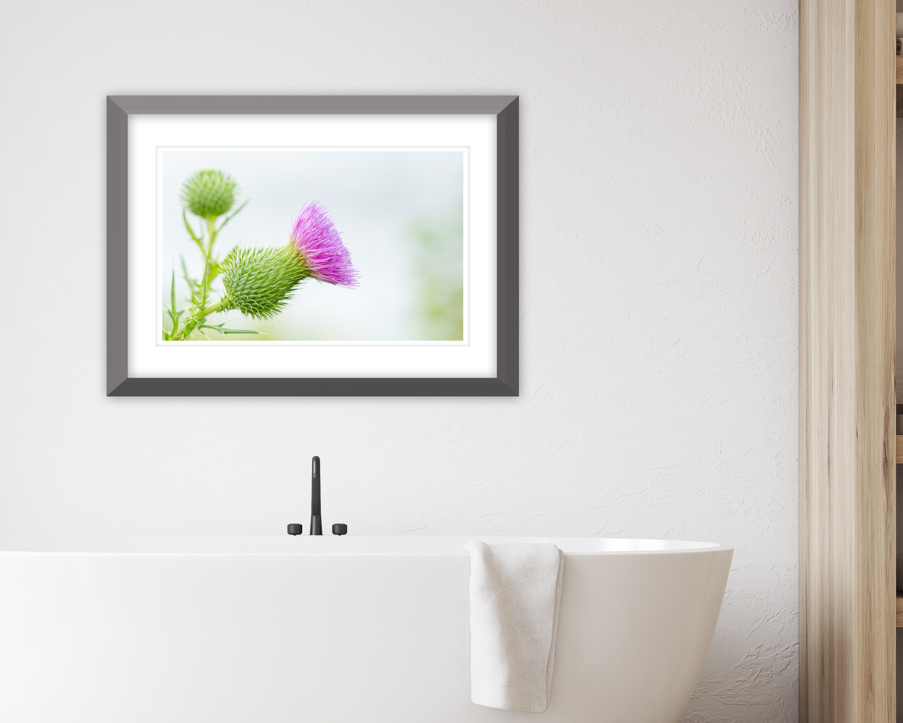 Thistle Photo Instant Download, Printable Photo Wall Art, Thistle Print