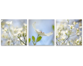 Dogwood Gallery Wall Collage (Set of 3 Photo Prints), Wall Art, Home Decor