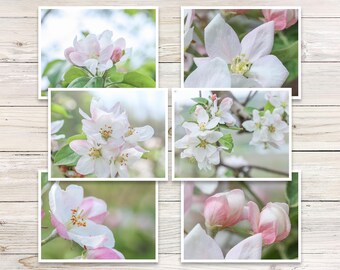 Apple Blossom Photo Note Card Set, Floral Blank Cards