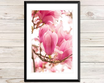 Pink Magnolia Flower Photo Instant Download, Printable Photo Wall Art, Magnolia Blossom, Magnolia Wall Art, Digital Download Photography