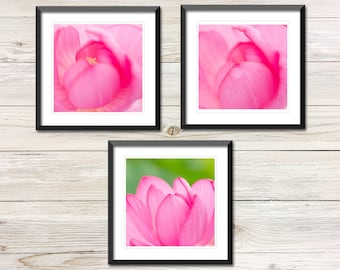 Rosa Lotus Blume Foto Set von 3, druckbare botanische Wandkunst (digitaler Download)
