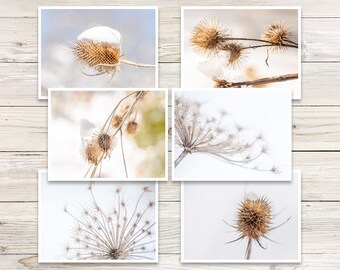 Winter Botanical Photo Note Cards, Dried Teasels, Burdocks (Set of 6)