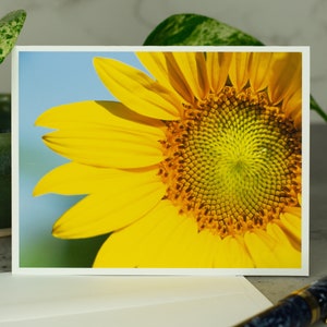 Sunflower Greeting Card, Flower Greeting Card, Sunflower Card, Card with Envelope, Blank Card, All Occasion Card, Any Occasion Card