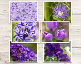 Mixed Floral Note Cards (Set of 6), Purple Photo Note Cards, Botanical Note Cards, Colorful Cards, Purple Note Cards, Stationery Set